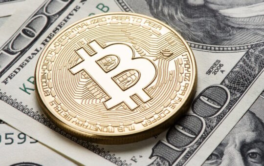 'Newborn Nine' Bitcoin ETFs Now Hold 300,000 BTC—Over $17 Billion Worth