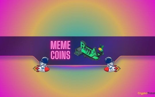 What's the Best Performing Cryptocurrency Sector in 2024?