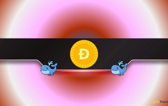 More Pain Ahead for DOGE?