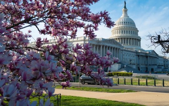 New Bill Proposes Strict Stablecoin Regulations With Federal Reserve Oversight