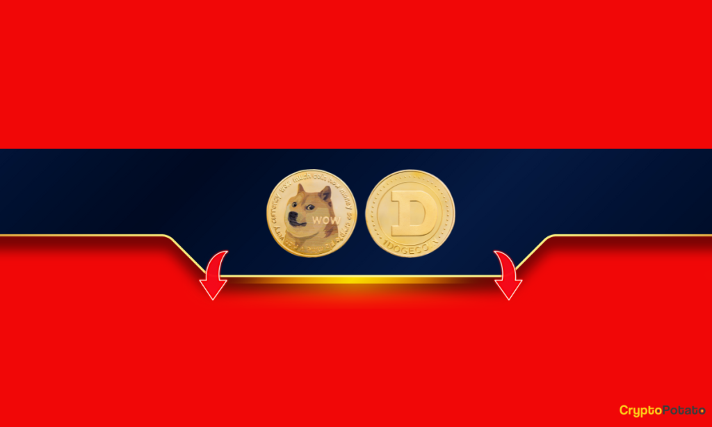 Is This the Final Chapter for Dogecoin's Bull Run? Assessing Musk's Recent Comments