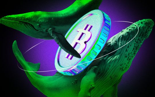 Bitcoin Whale Doubles Down With $1.25 Billion Long Bet on Hyperliquid