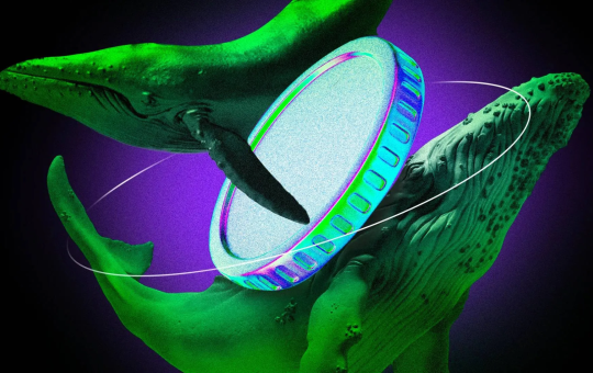 Whales Drive Record Stablecoin Activity on TRON