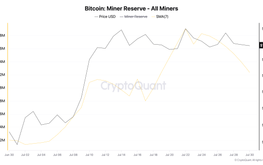 BTC Miner Reserve.