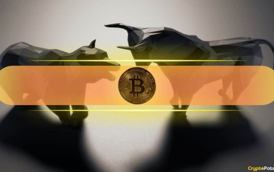 What On-Chain Data Means for BTC's Future
