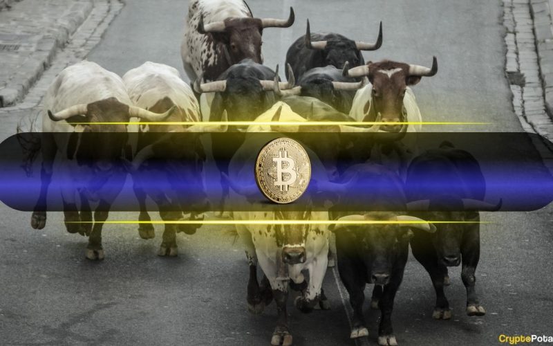 Bitcoin’s Bull Run Backed by Growing Long-Term Holders