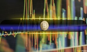 LTH Stability vs. STH Aggression Driving Bitcoin Market Volatility