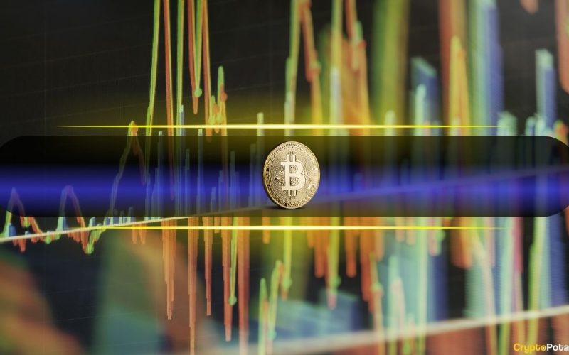 LTH Stability vs. STH Aggression Driving Bitcoin Market Volatility