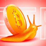 Bitcoin ETF Outflows Persist: Whales Feast and Retail Vanishes