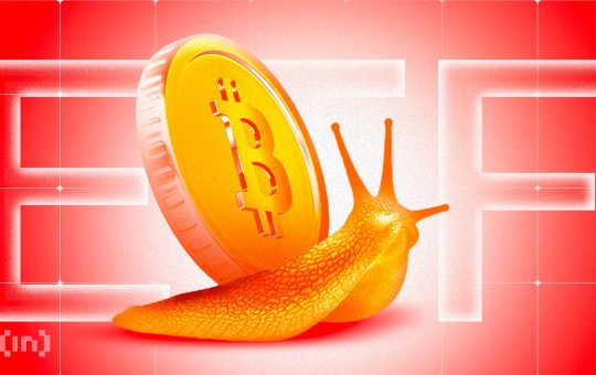 Bitcoin ETF Outflows Persist: Whales Feast and Retail Vanishes