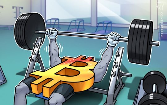 BTC Liquidation Data Could Push Price to New Highs: Analyst