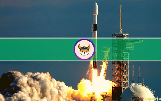 Whales Can't Get Enough of Meme Coins as FLOKI Explodes 950%