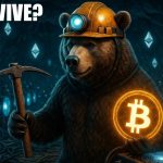 Can you SURVIVE in the Crypto Mining BEAR Market?