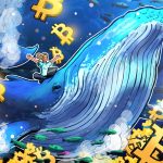 Bitcoin Whale Holdings Hit 5 Month High At 3.09M BTC