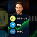 Memory Stocks to BUY During The Dip