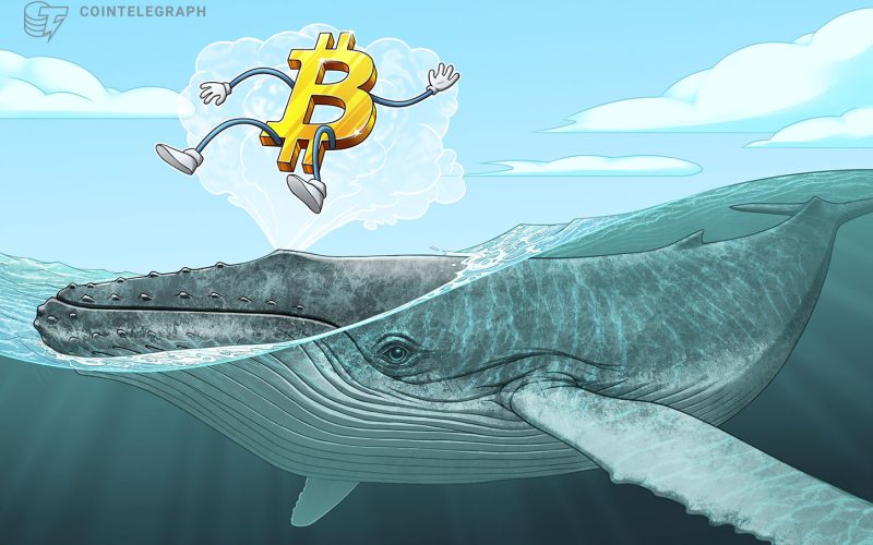 Cointelegraph