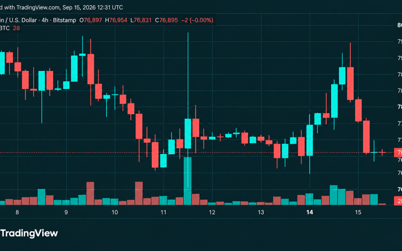 Bitcoin's Price Is Sitting on Support After a Brutal $79K Rejection