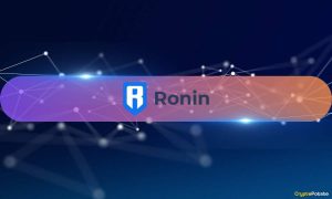 Ronin's DeFi TVL Grows 149% YoY, Boosted by RON Token's 30% Price Rise